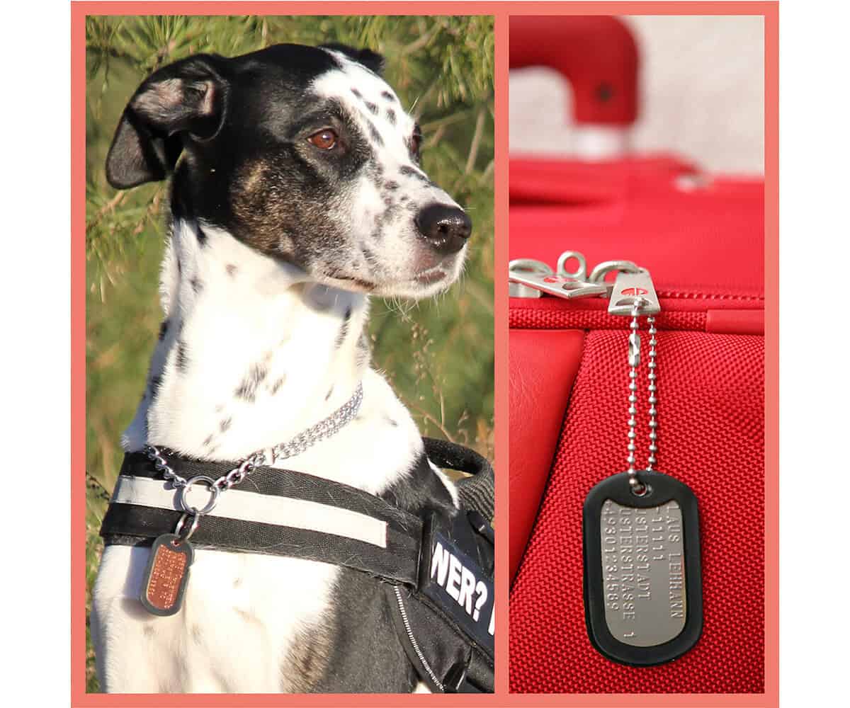 Roter Dog Tag