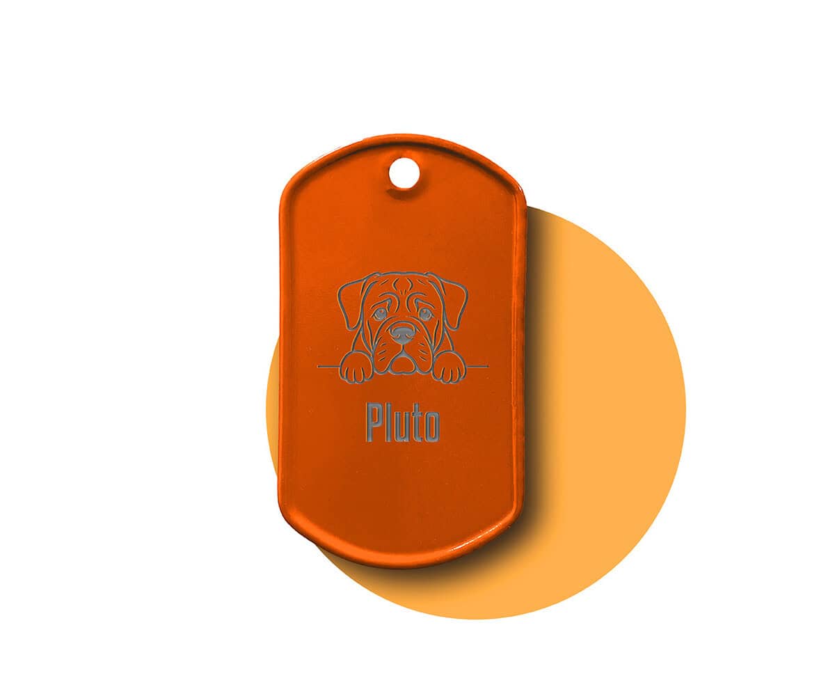 Orangener Dog Tag