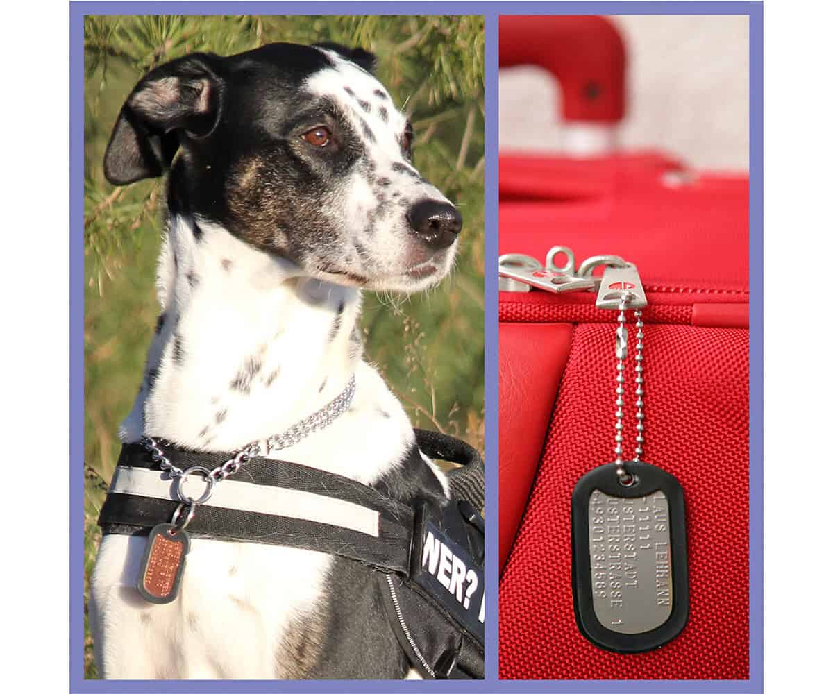Lilaner Dog Tag