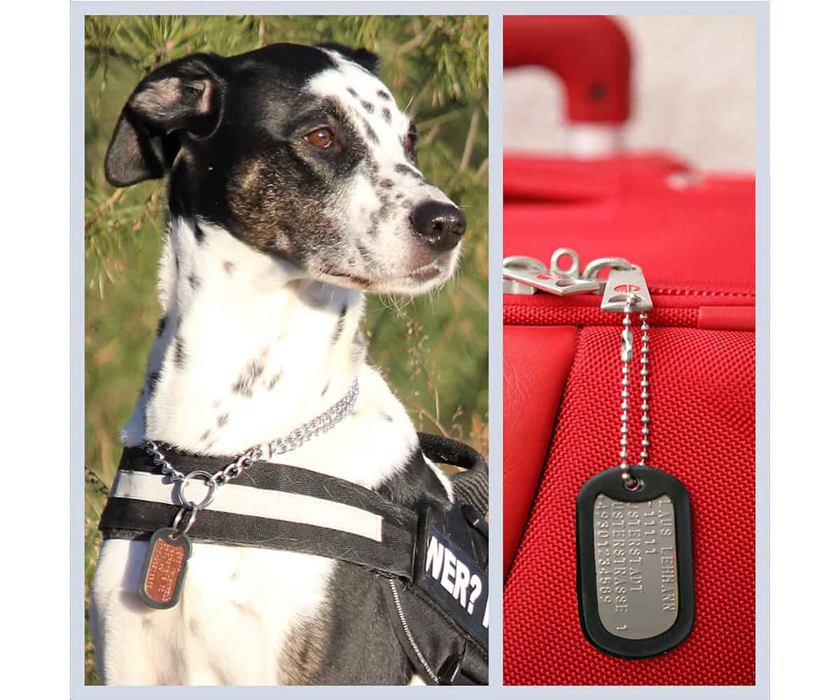 Weißer Dog Tag